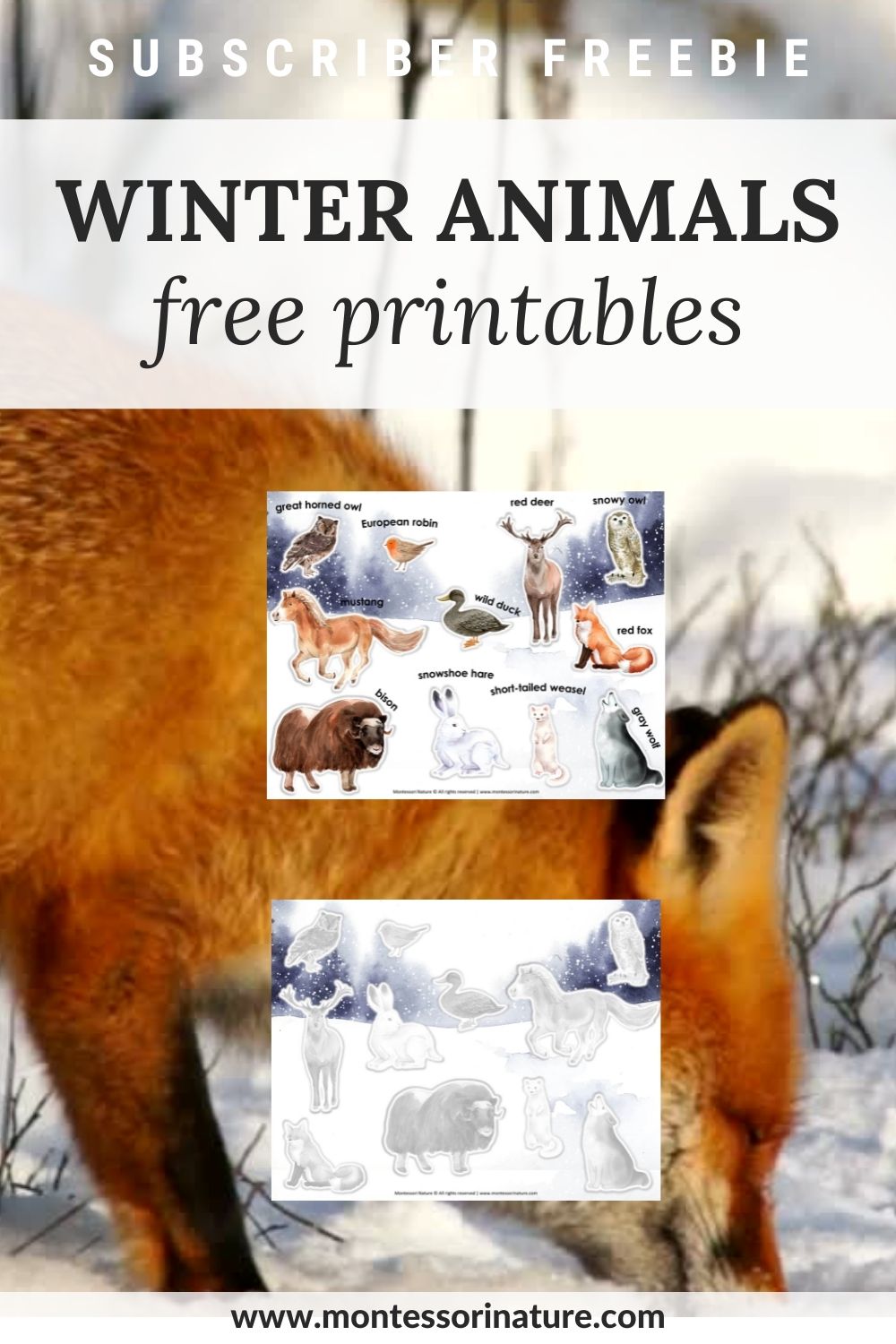 free printable - winter animals - montessori nature